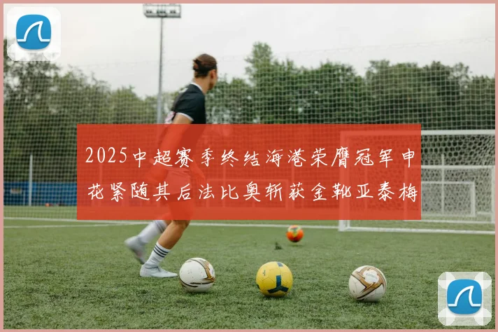 2025中超赛季终结海港荣膺冠军申花紧随其后法比奥斩获金靴亚泰梅州遗憾降级