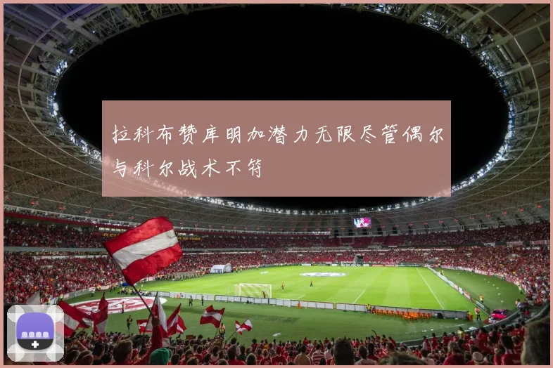 拉科布赞库明加潜力无限尽管偶尔与科尔战术不符