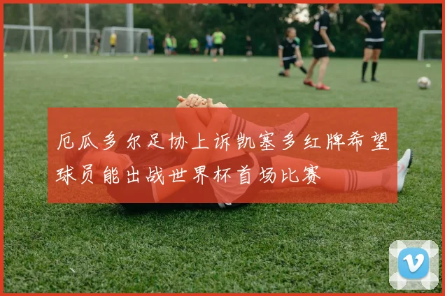 厄瓜多尔足协上诉凯塞多红牌希望球员能出战世界杯首场比赛