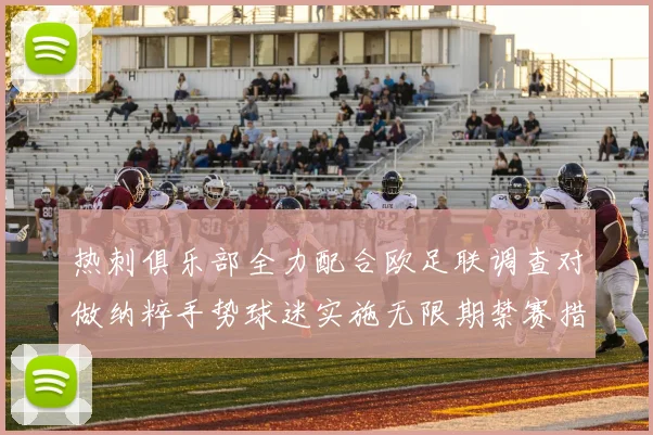 热刺俱乐部全力配合欧足联调查对做纳粹手势球迷实施无限期禁赛措施