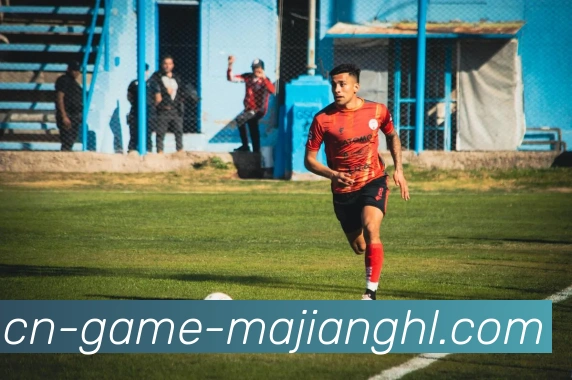 麻将胡了平台生态图